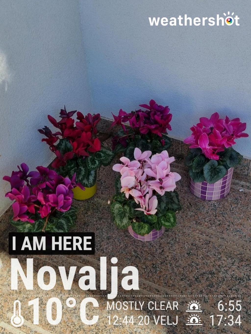 Apartment Dony - Ticic Novalja Exterior photo